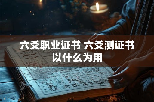 六爻职业证书 六爻测证书以什么为用