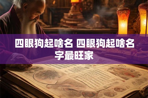 四眼狗起啥名 四眼狗起啥名字最旺家