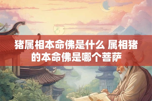 猪属相本命佛是什么 属相猪的本命佛是哪个菩萨