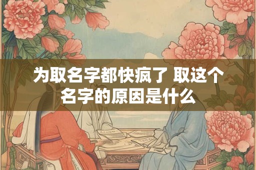 为取名字都快疯了 取这个名字的原因是什么