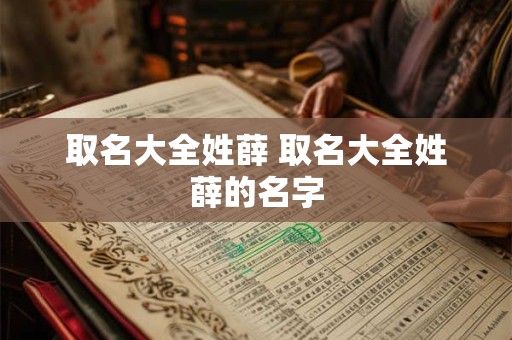 取名大全姓薛 取名大全姓薛的名字