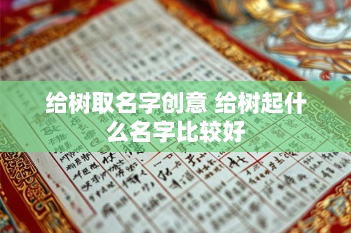 给树取名字创意 给树起什么名字比较好