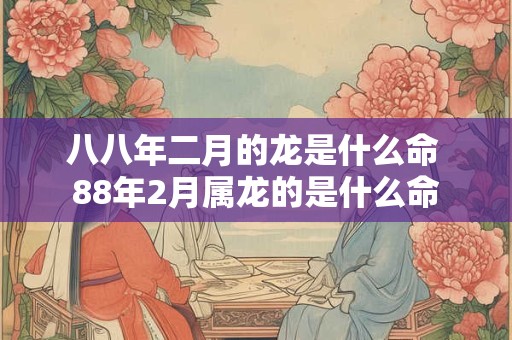 八八年二月的龙是什么命 88年2月属龙的是什么命