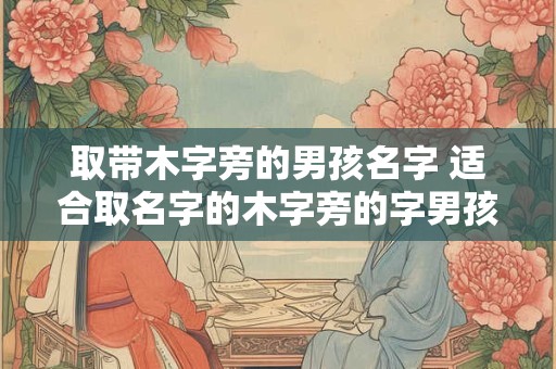 取带木字旁的男孩名字 适合取名字的木字旁的字男孩