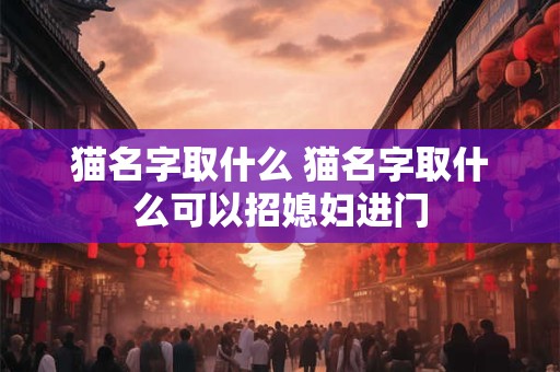 猫名字取什么 猫名字取什么可以招媳妇进门