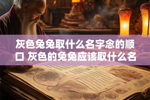 灰色兔兔取什么名字念的顺口 灰色的兔兔应该取什么名字呢