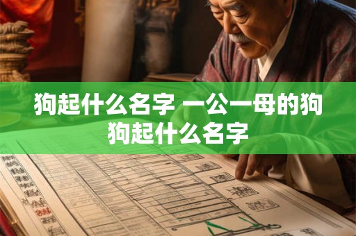 狗起什么名字 一公一母的狗狗起什么名字