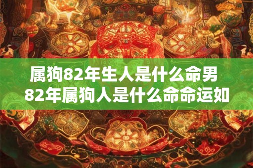 属狗82年生人是什么命男 82年属狗人是什么命命运如何