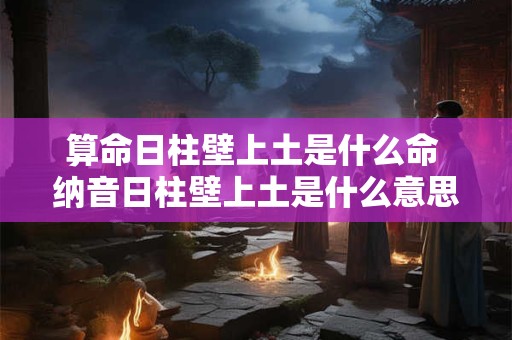 算命日柱壁上土是什么命 纳音日柱壁上土是什么意思