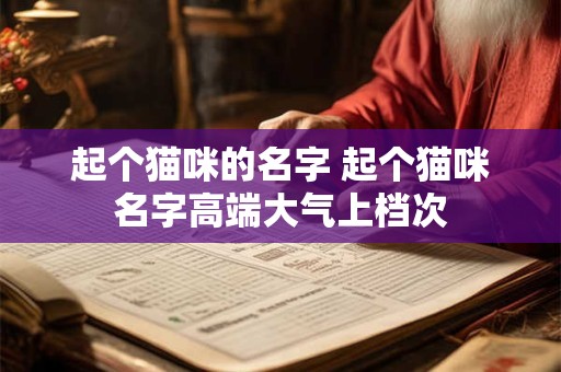 起个猫咪的名字 起个猫咪名字高端大气上档次