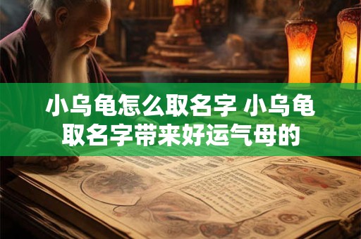 小乌龟怎么取名字 小乌龟取名字带来好运气母的