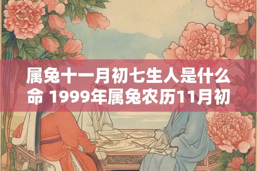 属兔十一月初七生人是什么命 1999年属兔农历11月初七命运