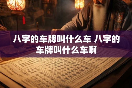 八字的车牌叫什么车 八字的车牌叫什么车啊