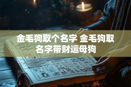 金毛狗取个名字 金毛狗取名字带财运母狗