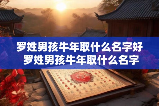 罗姓男孩牛年取什么名字好 罗姓男孩牛年取什么名字好一点