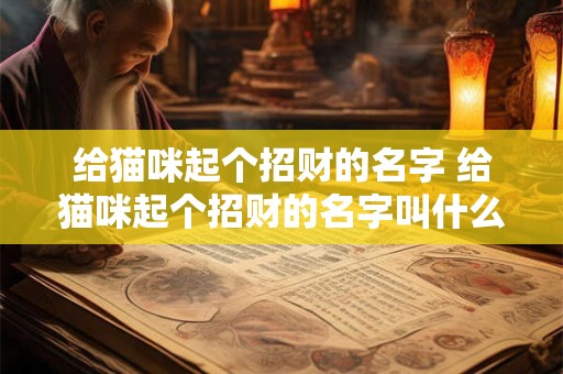 给猫咪起个招财的名字 给猫咪起个招财的名字叫什么