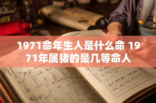 1971命年生人是什么命 1971年属猪的是几等命人