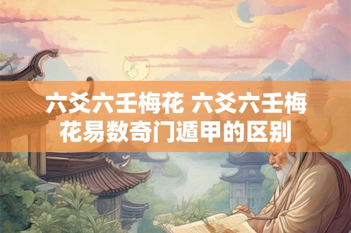 六爻六壬梅花 六爻六壬梅花易数奇门遁甲的区别