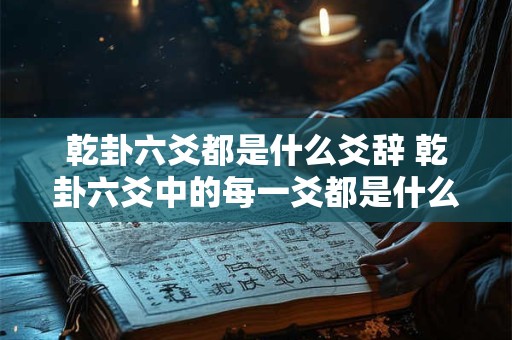 乾卦六爻都是什么爻辞 乾卦六爻中的每一爻都是什么爻
