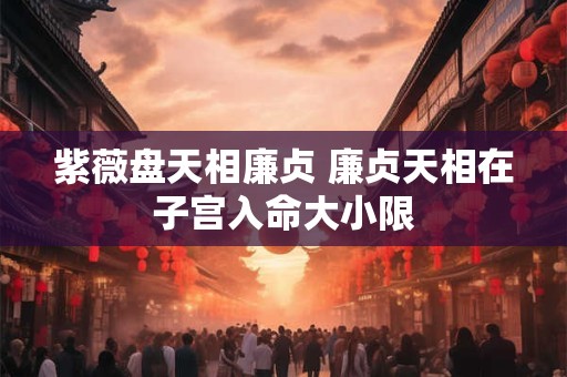 紫薇盘天相廉贞 廉贞天相在子宫入命大小限