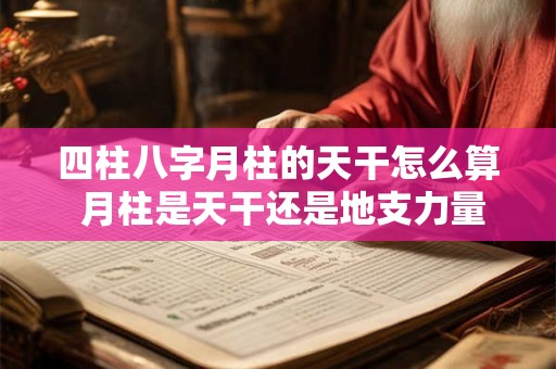 四柱八字月柱的天干怎么算 月柱是天干还是地支力量大