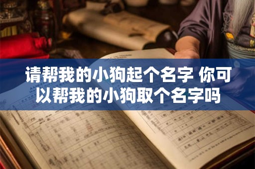 请帮我的小狗起个名字 你可以帮我的小狗取个名字吗