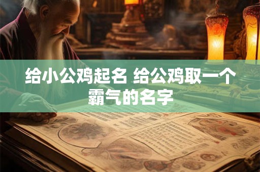 给小公鸡起名 给公鸡取一个霸气的名字