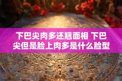 下巴尖肉多还翘面相 下巴尖但是脸上肉多是什么脸型