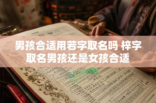 男孩合适用若字取名吗 梓字取名男孩还是女孩合适