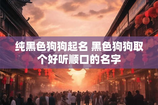 纯黑色狗狗起名 黑色狗狗取个好听顺口的名字
