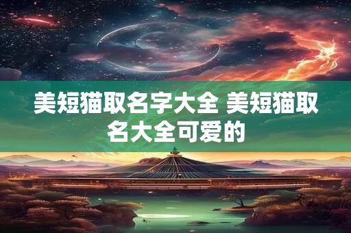 美短猫取名字大全 美短猫取名大全可爱的