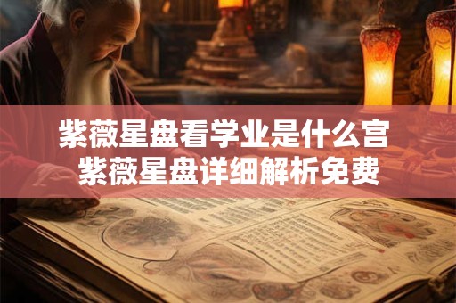 紫薇星盘看学业是什么宫 紫薇星盘详细解析免费