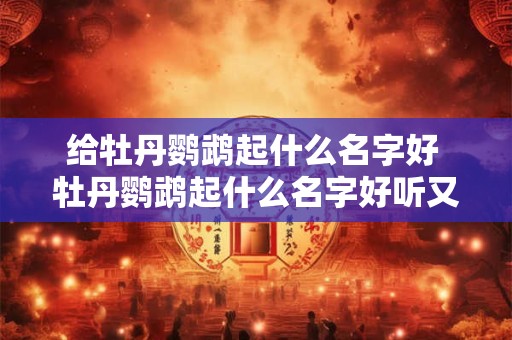 给牡丹鹦鹉起什么名字好 牡丹鹦鹉起什么名字好听又好养