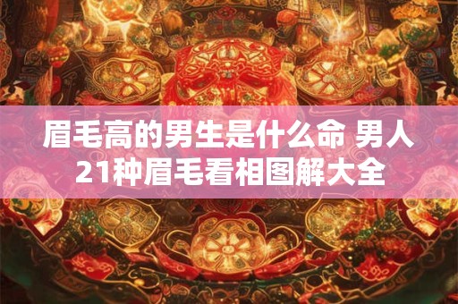 眉毛高的男生是什么命 男人21种眉毛看相图解大全