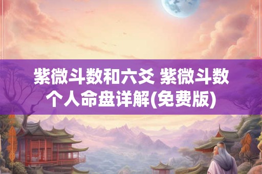 紫微斗数和六爻 紫微斗数个人命盘详解(免费版)