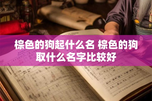 棕色的狗起什么名 棕色的狗取什么名字比较好