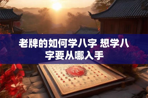 老牌的如何学八字 想学八字要从哪入手