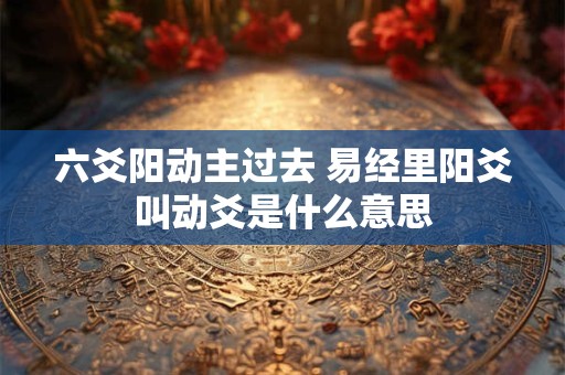 六爻阳动主过去 易经里阳爻叫动爻是什么意思
