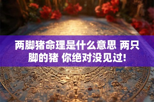 两脚猪命理是什么意思 两只脚的猪 你绝对没见过!