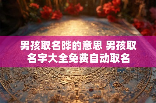 男孩取名晔的意思 男孩取名字大全免费自动取名