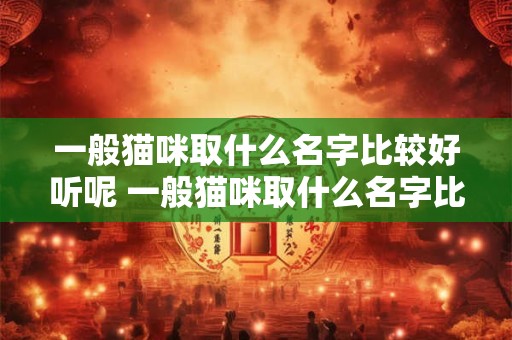 一般猫咪取什么名字比较好听呢 一般猫咪取什么名字比较好听呢男生