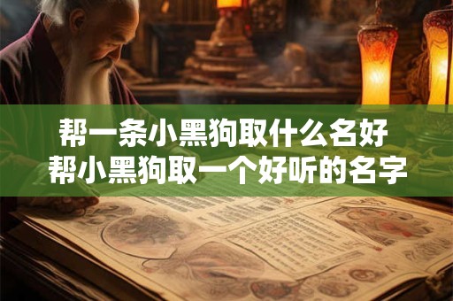 帮一条小黑狗取什么名好 帮小黑狗取一个好听的名字