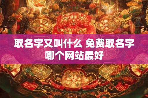取名字又叫什么 免费取名字哪个网站最好