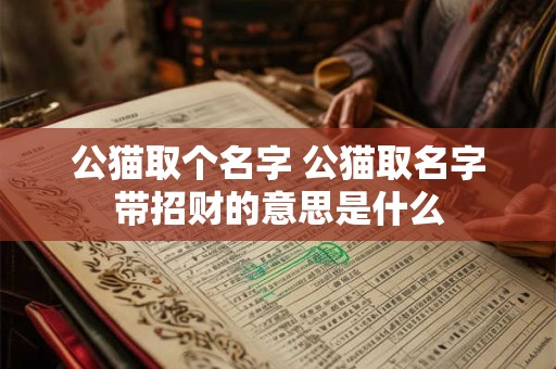 公猫取个名字 公猫取名字带招财的意思是什么