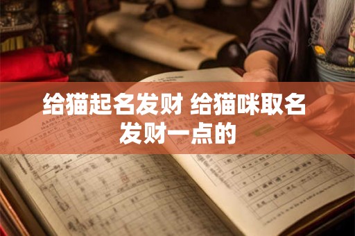 给猫起名发财 给猫咪取名 发财一点的