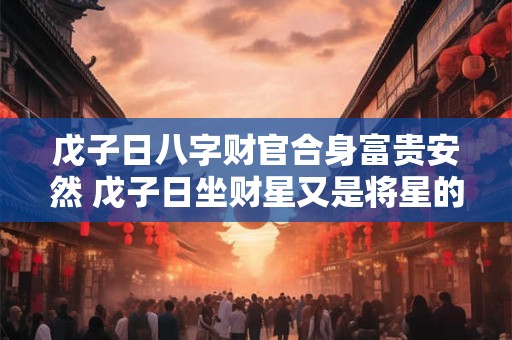 戊子日八字财官合身富贵安然 戊子日坐财星又是将星的女人