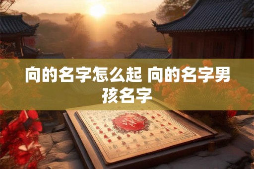 向的名字怎么起 向的名字男孩名字