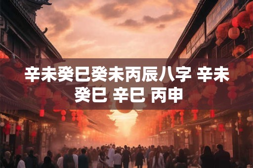 辛未癸巳癸未丙辰八字 辛未 癸巳 辛巳 丙申