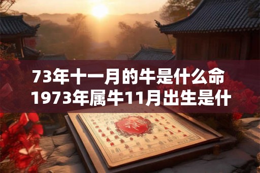 73年十一月的牛是什么命 1973年属牛11月出生是什么命