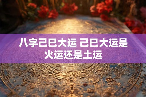 八字己巳大运 己巳大运是火运还是土运